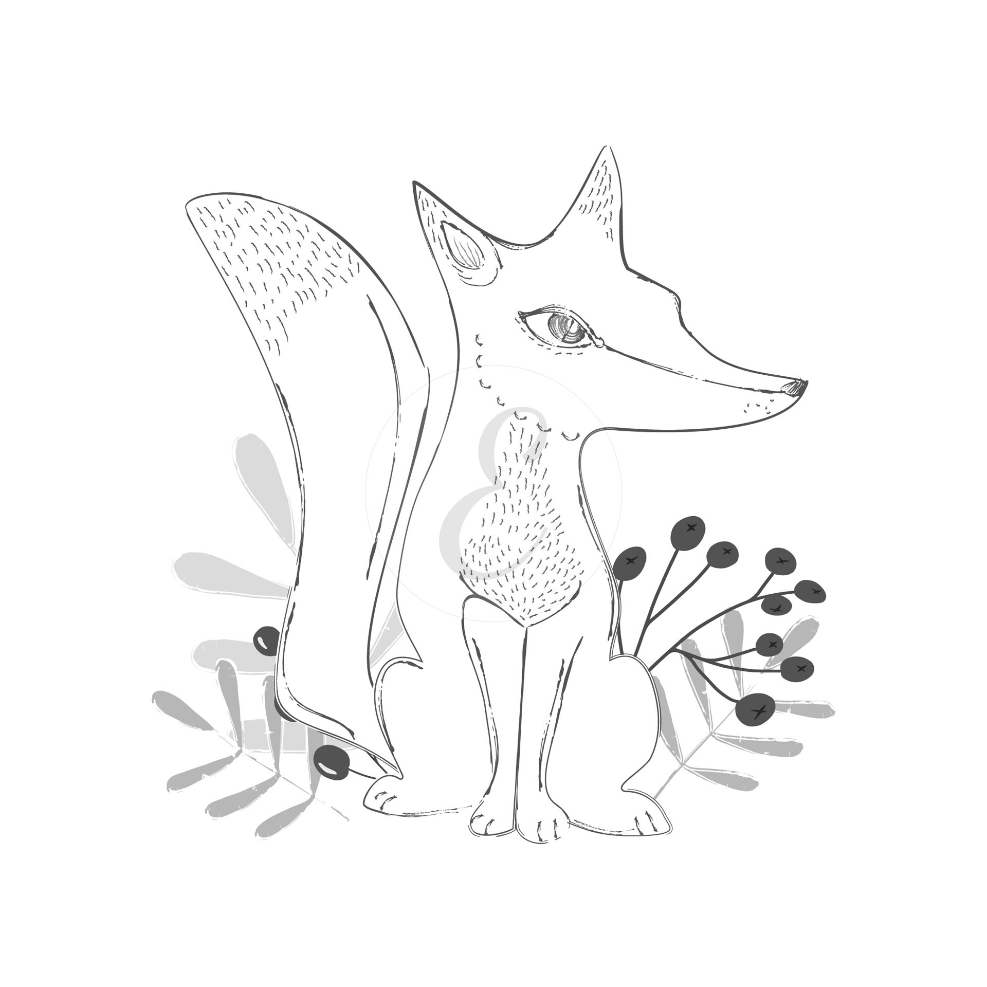 Fox drawing